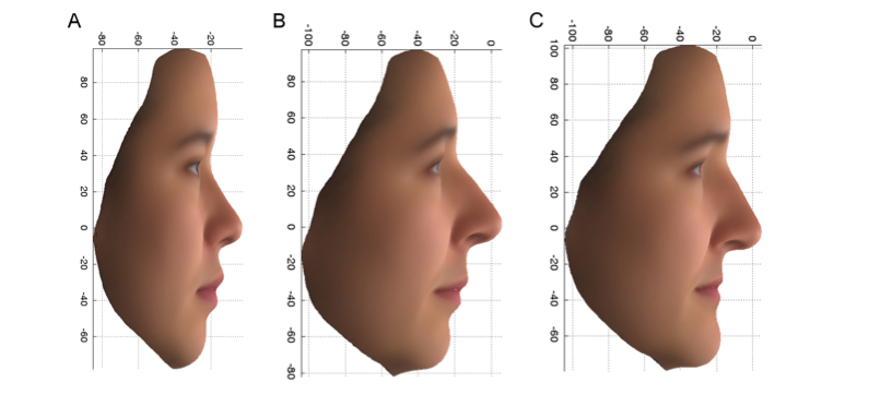 Celtic Facial Structure Explained: Key Features, Traits, and Origins