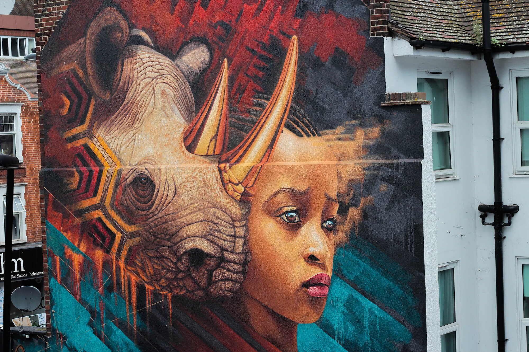 Wildlife Graffiti Artists: Meet the Rebels Behind the Murals!